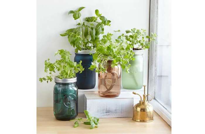 Mason Jar Indoor Herb Garden